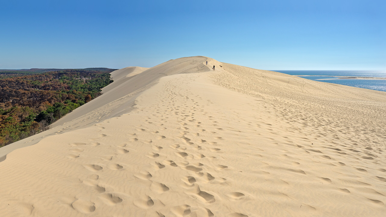 la Dune du Pilat